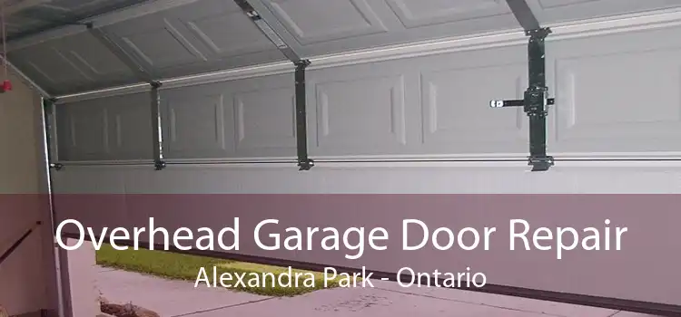 Overhead Garage Door Repair Alexandra Park - Ontario