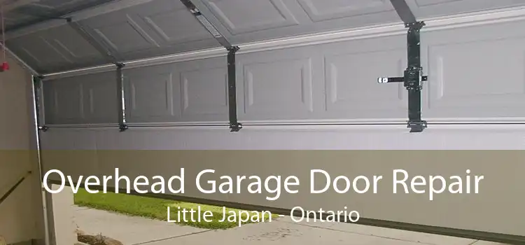 Overhead Garage Door Repair Little Japan - Ontario