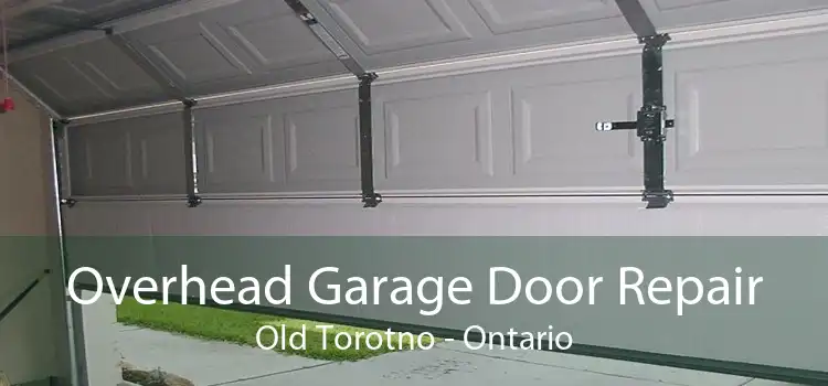 Overhead Garage Door Repair Old Torotno - Ontario