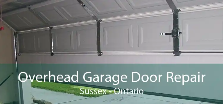 Overhead Garage Door Repair Sussex - Ontario