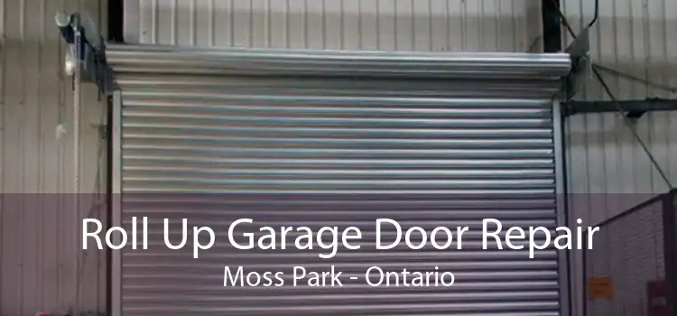 Roll Up Garage Door Repair Moss Park - Ontario