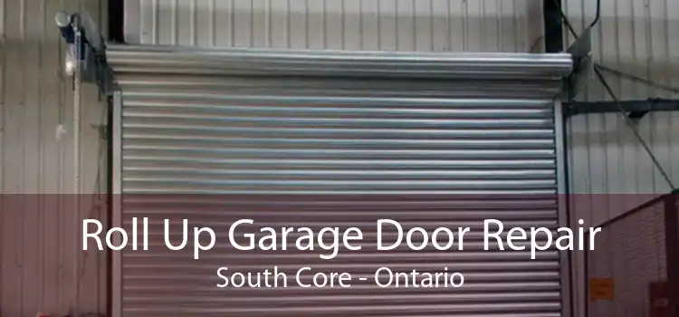 Roll Up Garage Door Repair South Core - Ontario