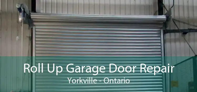 Roll Up Garage Door Repair Yorkville - Ontario