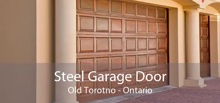 Steel Garage Door Old Torotno - Ontario